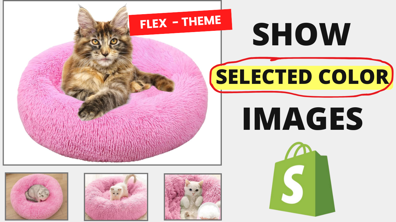 Display Selected Color Images - Flex Theme